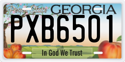 GA license plate PXB6501