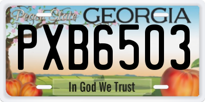GA license plate PXB6503