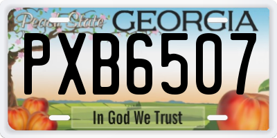 GA license plate PXB6507