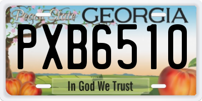 GA license plate PXB6510