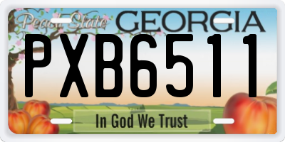 GA license plate PXB6511