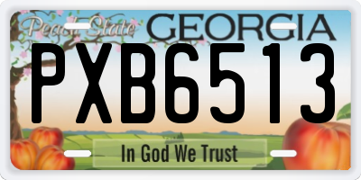GA license plate PXB6513