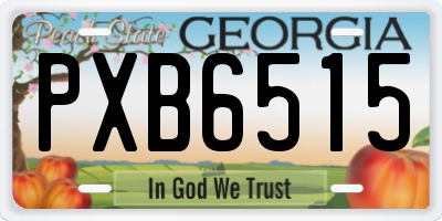 GA license plate PXB6515