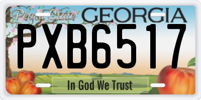GA license plate PXB6517