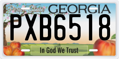GA license plate PXB6518