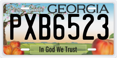 GA license plate PXB6523