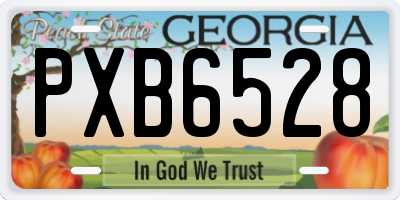 GA license plate PXB6528