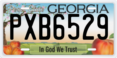 GA license plate PXB6529