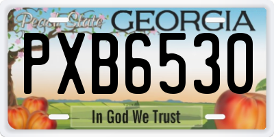 GA license plate PXB6530