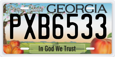 GA license plate PXB6533
