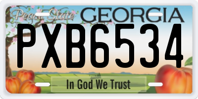 GA license plate PXB6534