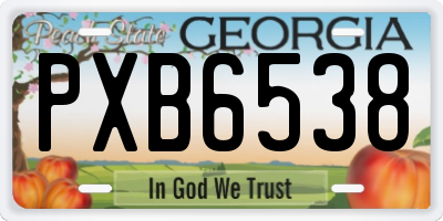 GA license plate PXB6538