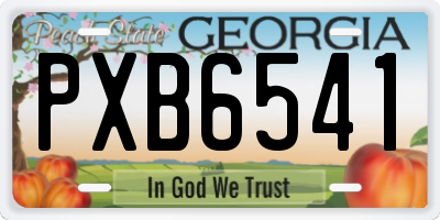 GA license plate PXB6541