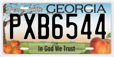 GA license plate PXB6544