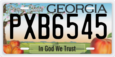 GA license plate PXB6545