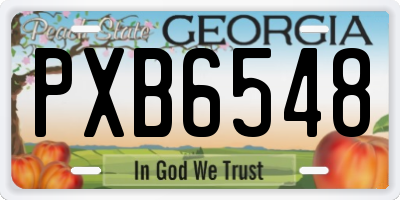 GA license plate PXB6548