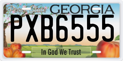 GA license plate PXB6555