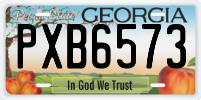 GA license plate PXB6573