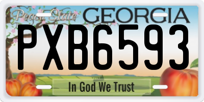 GA license plate PXB6593