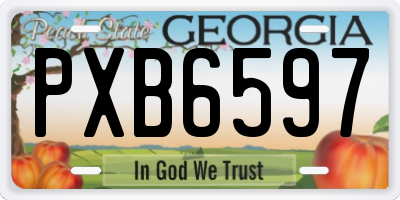 GA license plate PXB6597