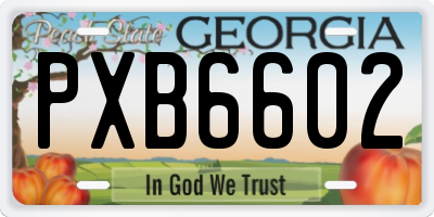 GA license plate PXB6602