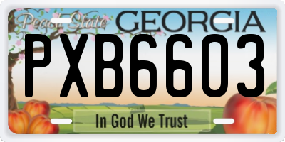 GA license plate PXB6603