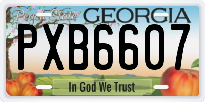 GA license plate PXB6607
