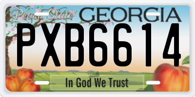 GA license plate PXB6614