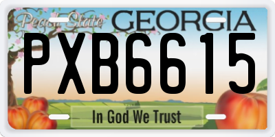 GA license plate PXB6615