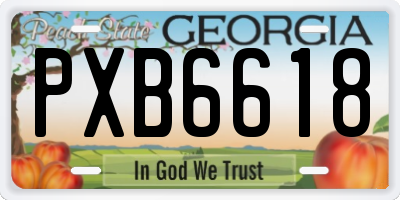 GA license plate PXB6618