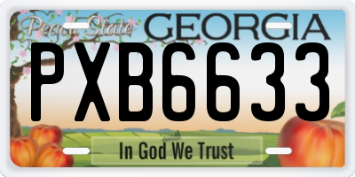 GA license plate PXB6633