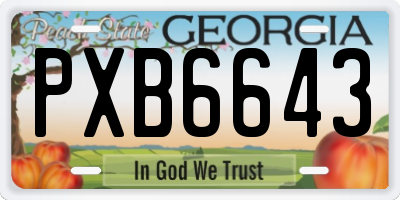 GA license plate PXB6643