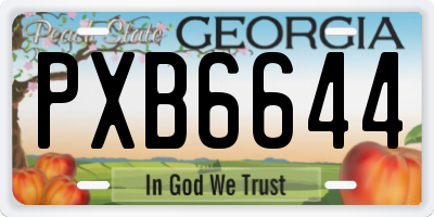 GA license plate PXB6644