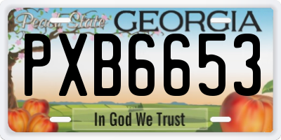 GA license plate PXB6653