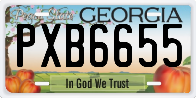 GA license plate PXB6655