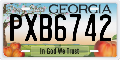 GA license plate PXB6742