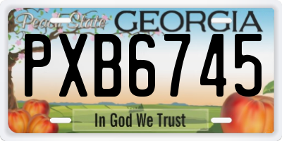 GA license plate PXB6745