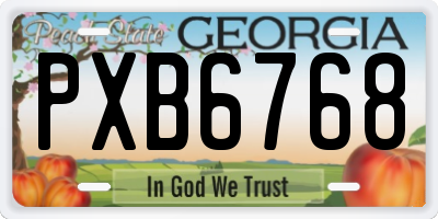 GA license plate PXB6768