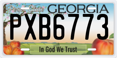 GA license plate PXB6773