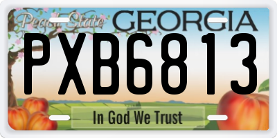 GA license plate PXB6813