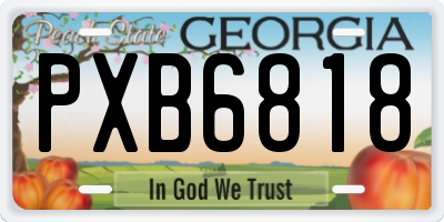 GA license plate PXB6818