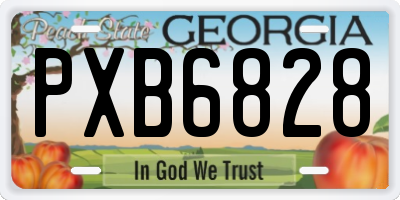GA license plate PXB6828
