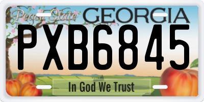 GA license plate PXB6845