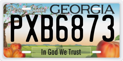 GA license plate PXB6873