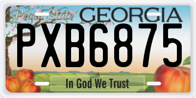 GA license plate PXB6875