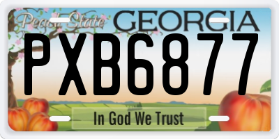 GA license plate PXB6877