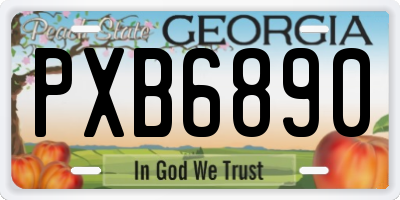 GA license plate PXB6890