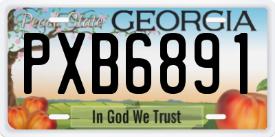GA license plate PXB6891
