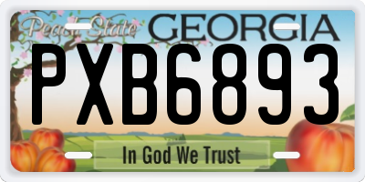 GA license plate PXB6893