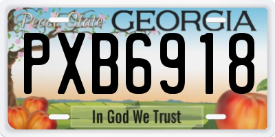 GA license plate PXB6918